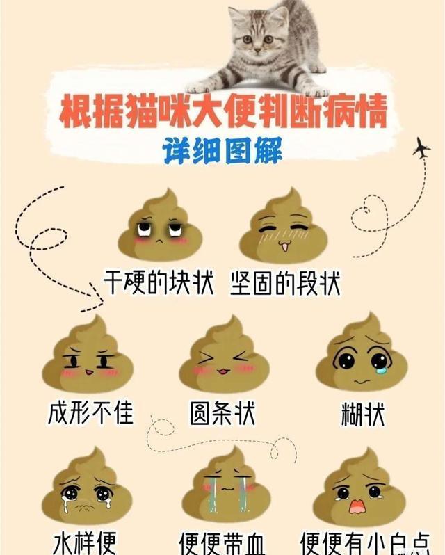 优质精选图片_15天优质经验分享图片_优秀经验分享ppt模板