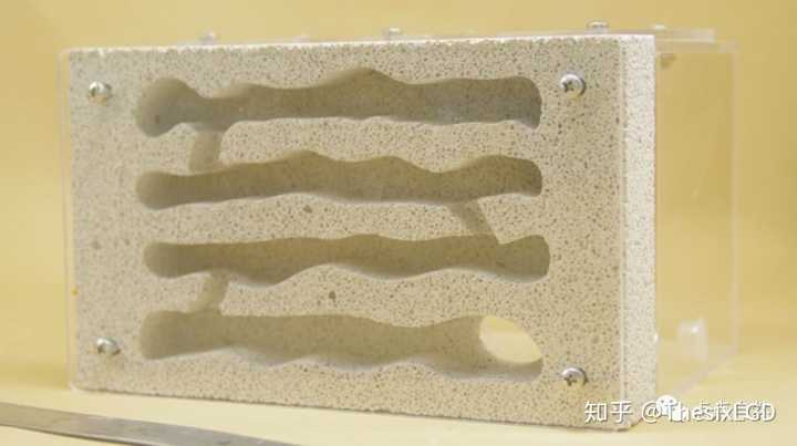 山东宠物养殖致富_山东养狗养殖场_山东动物养殖基地