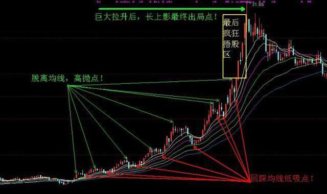 v7致富经养殖牛_致富养牛牛人_养殖致富项目牛