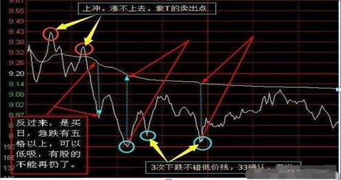 致富养殖牛典型事迹材料范文_v7致富经养殖牛_致富养殖牛怎么养赚钱