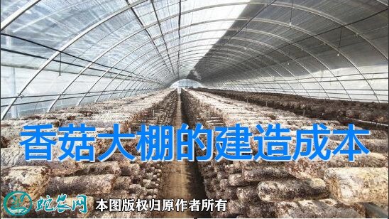 香菇大棚的建造成本图1