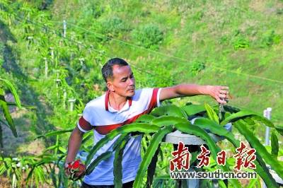 把致富经送到田间地头