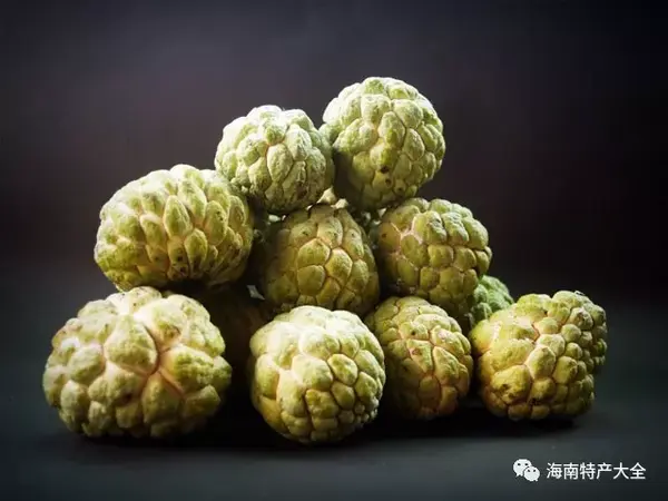 致富经海南莲雾种植技术_海南莲雾的功效与作用_海南莲雾怎么吃图解
