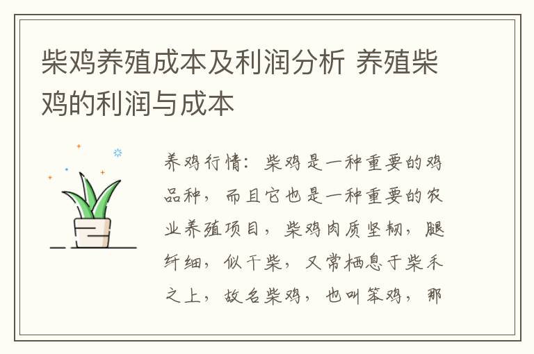 柴鸡养殖成本及利润分析 养殖柴鸡的利润与成本