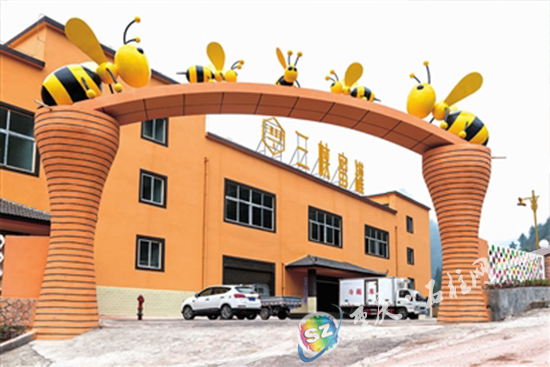 致富经怎样养中华蜜蜂_养殖中华蜜蜂_养中华蜜蜂有前景吗