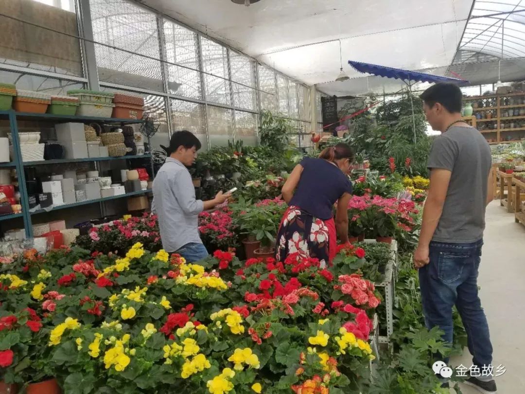 飘香藤室外种植技术_飘香藤室内还是室外养_藤室外飘香种植技术要点