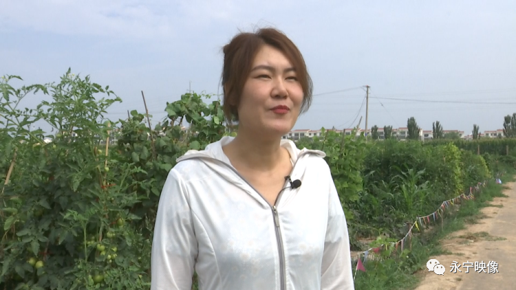 致富种植果菜园图片_致富种植果菜园怎么样_菜园种植致富果
