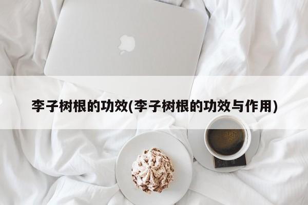 李子树根的功效(李子树根的功效与作用) 第1张