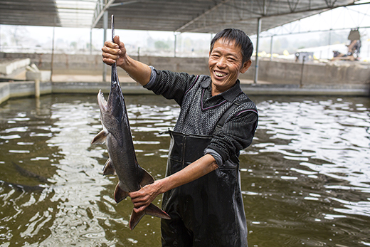 致富经温泉水养殖_温泉水产养殖_温泉水养殖技术
