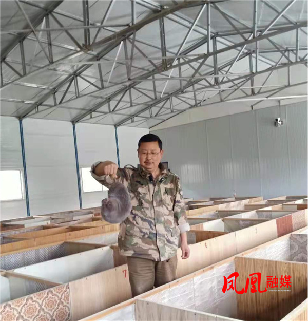 凤凰“养鼠大户”变“养菌大户”  “退”出一条转产转型致富新路