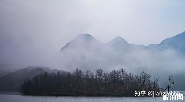 致富经浙江金华佛手_浙江金华佛手基地_金华佛手之乡