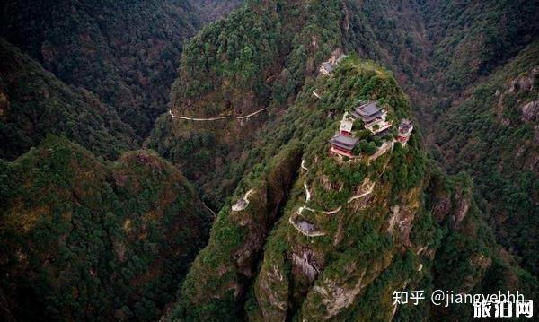 金华佛手之乡_致富经浙江金华佛手_浙江金华佛手基地