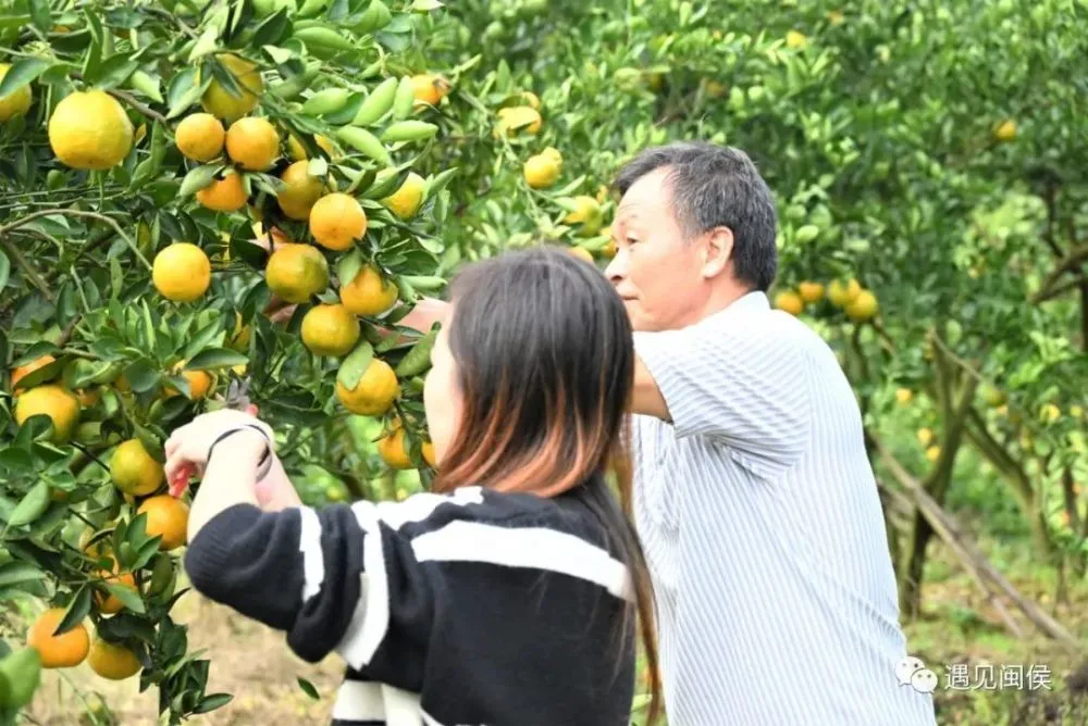 云端致富宝网络平台_云端种植致富果_种植致富宝典