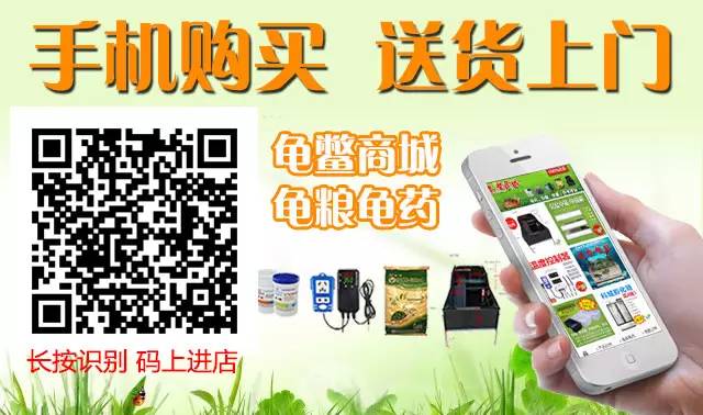 龟养殖致富_致富经养龟2018年全集_养龟致富视频