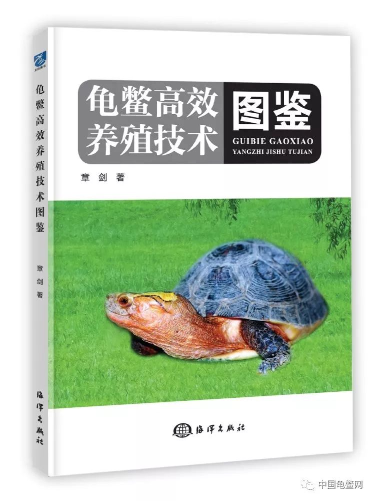 一本提高境界和养殖水平走上龟鳖致富道路的必备好书