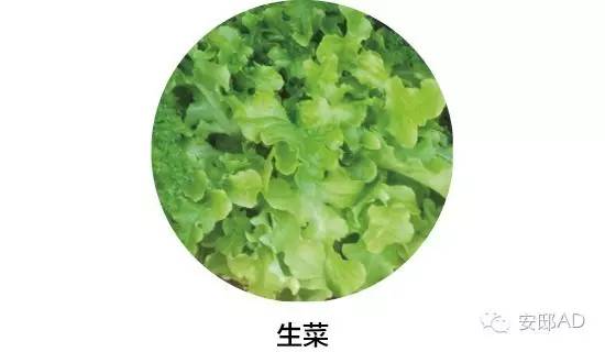 面瓜种子_种面瓜怎样管理_面瓜的种植技术