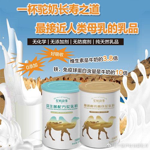一带一路软黄金，驼奶故事即将面世