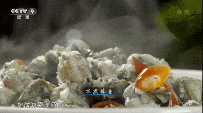 口虾姑养殖_虾姑养殖技术_虾菇养殖
