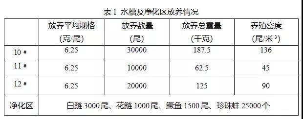 池塘工程化循环流水养殖这个新品种，220米3的水槽产量可达1