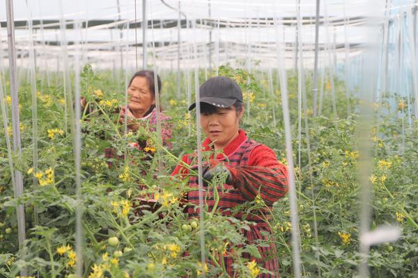 新征程全面推进乡村振兴 | 走百村 看小康  探访简阳青龙镇、踏水镇、涌泉镇的美