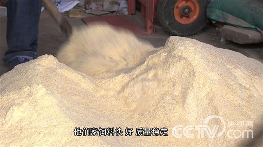 为什么都愿意跟着他