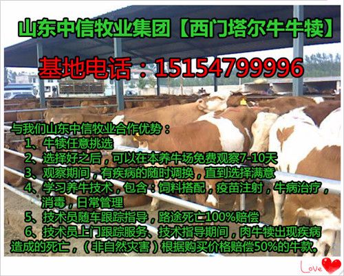 贵州养山羊赚钱吗养多少只合适_贵州山羊养殖场_贵州山羊养殖致富经
