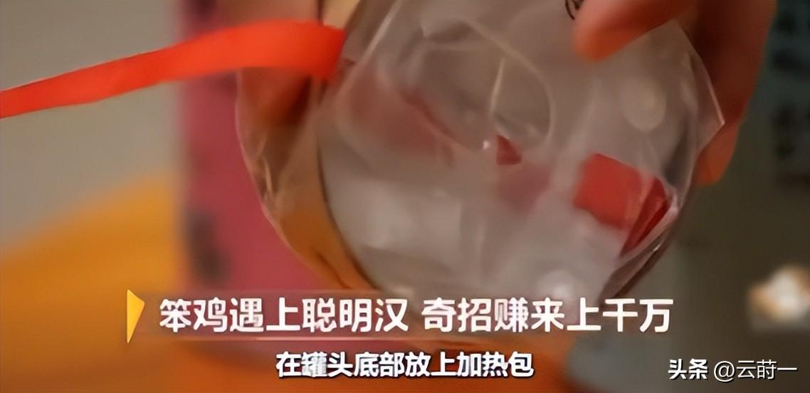 致富经 竹林养鸡视频_致富经竹鸡养殖_致富经林下养鸡