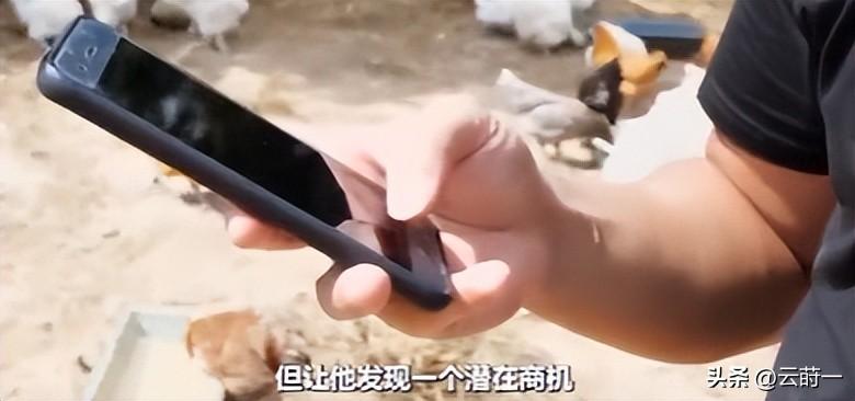 致富经 竹林养鸡视频_致富经竹鸡养殖_致富经林下养鸡