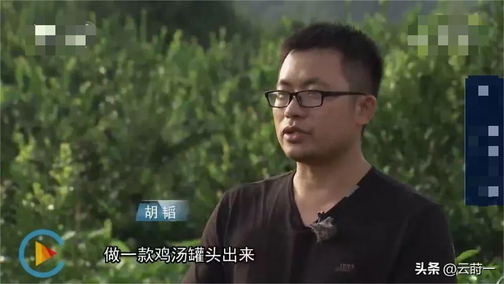 致富经竹鸡养殖_致富经 竹林养鸡视频_致富经林下养鸡