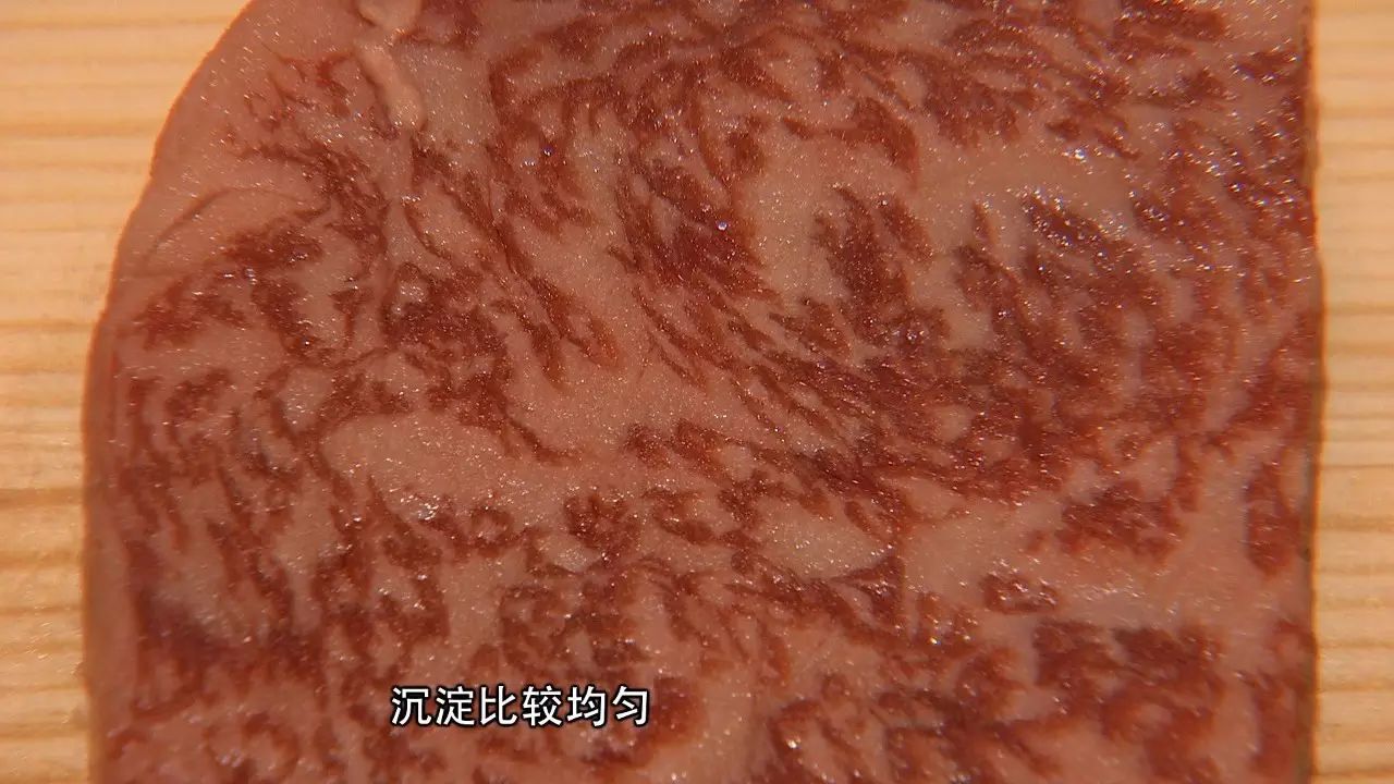 婆罗门牛致富经_婆罗门牛致富经_婆罗门牛致富经