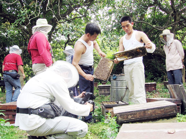 “空中农业”助力农民增收