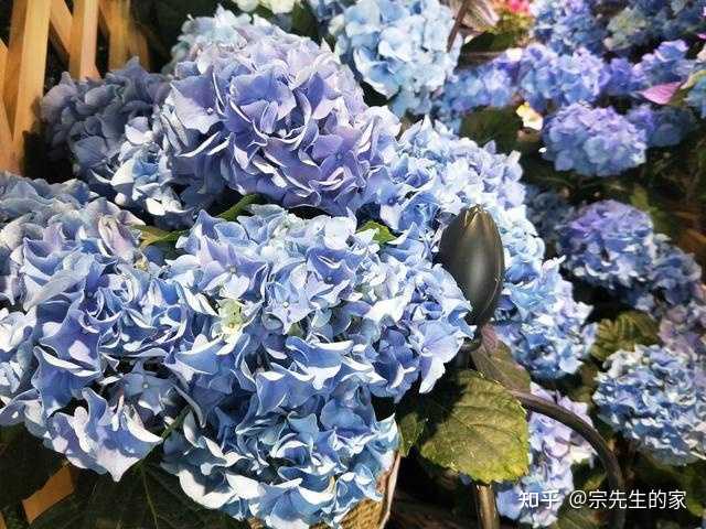 养殖致富经_养殖致富小白_致富养殖什么最赚钱