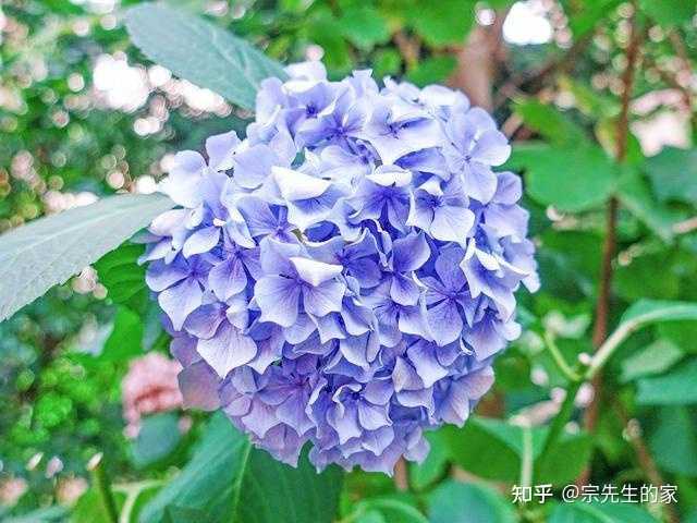 养殖致富小白_养殖致富经_致富养殖什么最赚钱