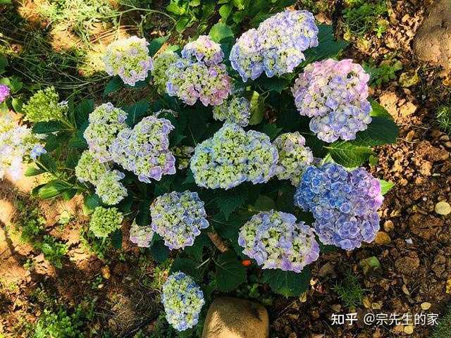 养殖致富小白_致富养殖什么最赚钱_养殖致富经