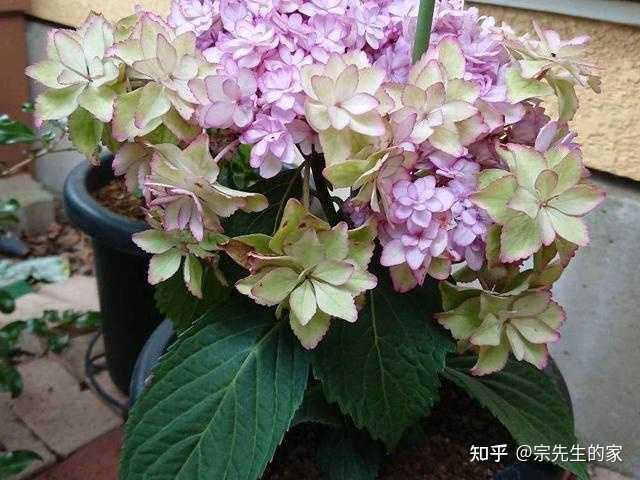 养殖致富经_致富养殖什么最赚钱_养殖致富小白