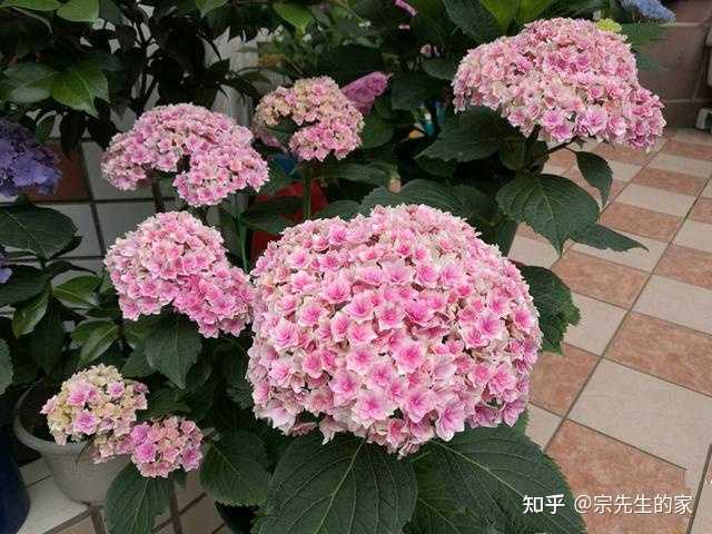 致富养殖什么最赚钱_养殖致富经_养殖致富小白