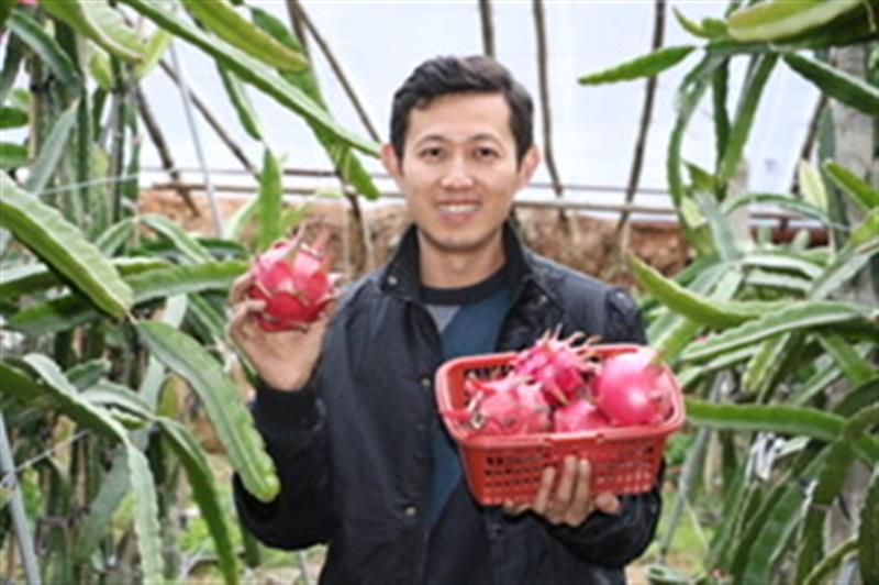 致富果树种植高端品牌_种植高端果树致富_致富果树种植高端产品