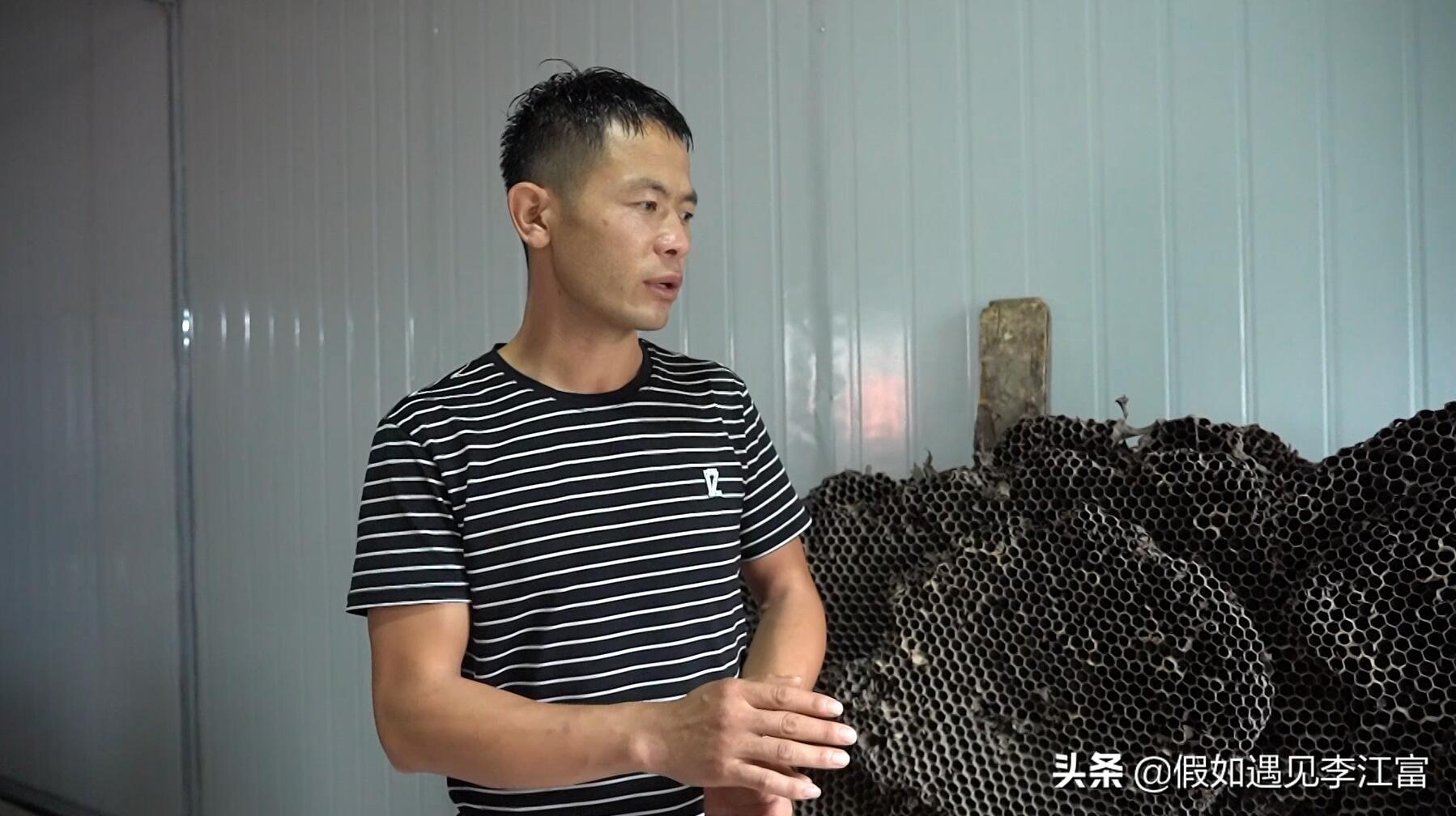 胡蜂养殖致富案例_致富经胡蜂养殖_胡蜂养殖前景