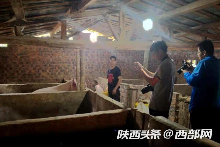 汉滨这对残疾夫妻有志气 靠“一双手”种地养猪摘穷帽