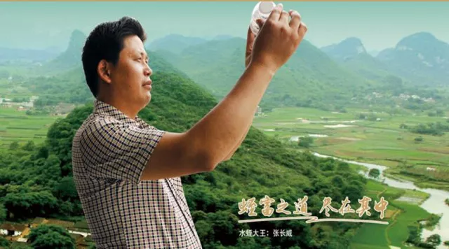 水蛭养殖技术视频播放_养殖水蛭最新技术_张长威 水蛭养殖技术