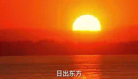 农业节目致富经养羊_农业频道致富经养殖业_农业养殖致富节目