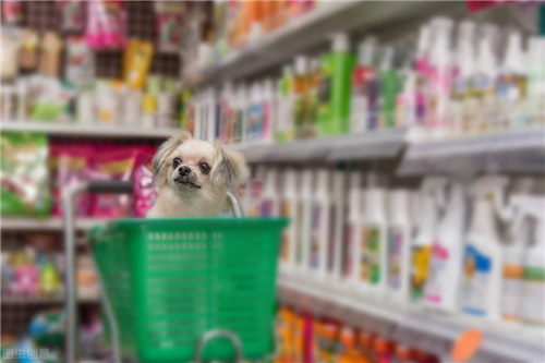 养殖犬的效益怎么样_狗养殖技术指标_养指标怎么操作的