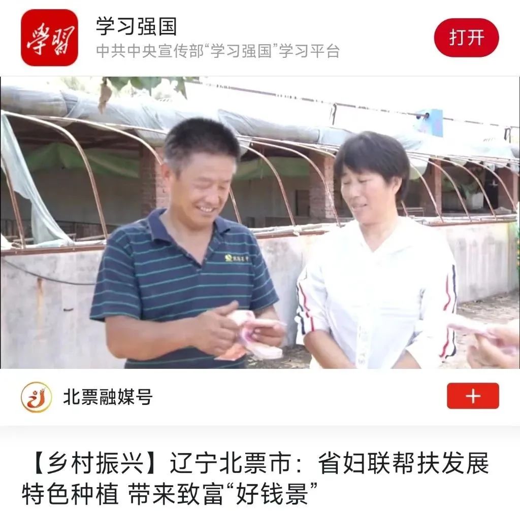 果园种植基地_致富种植果菜园视频_菜园种植致富果