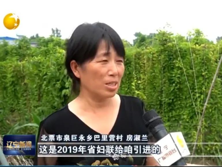 菜园种植致富果_致富种植果菜园视频_果园种植基地