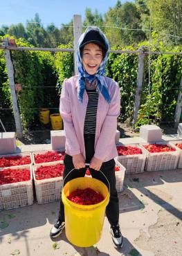 果园种植基地_致富种植果菜园视频_菜园种植致富果