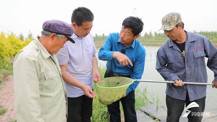 山东农村养殖什么最赚钱_山东农村养殖致富_山东农村养殖扶贫项目