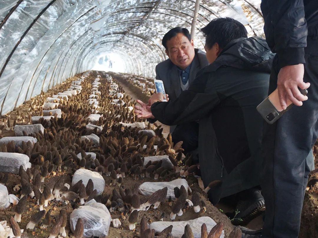 郑州养殖致富_郑州养殖企业_河南养殖致富网