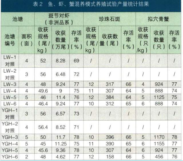 东星斑的养殖视频_斑节养殖技术视频_斑节对养殖枝术视频