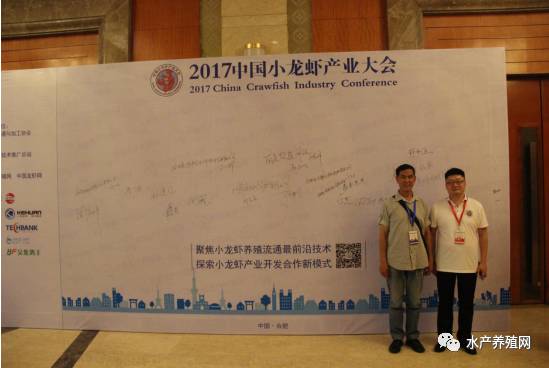 升斗小民如莲如王_王如峰小龙虾致富经_致富经王如峰养龙虾视频