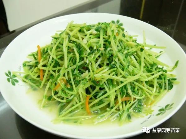 豆苗种植致富_致富种植豆苗图片_种豆苗赚钱吗